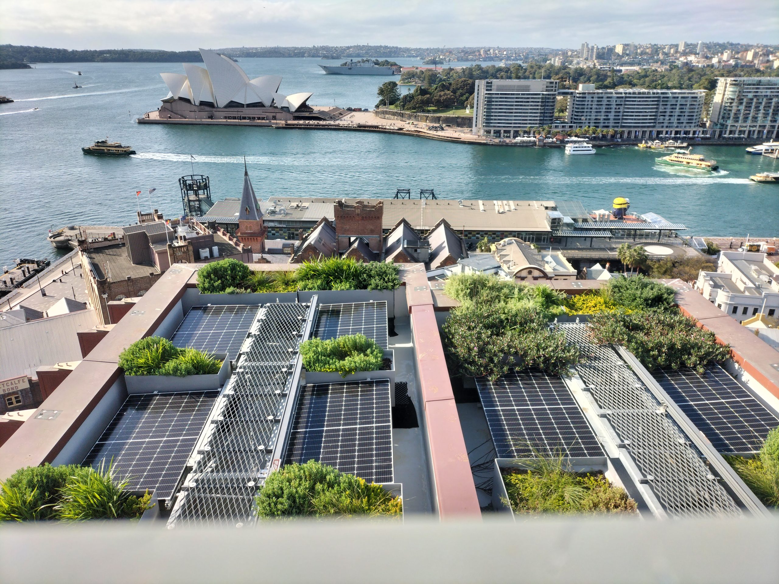 Rooftop in The Rocks with solar panels, mesh roof walkways and planter beds, looking over Circular Quay to the Sydney Opera House